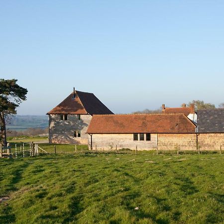 Bed and Breakfast The Shed East Sussex Гастінгс Екстер'єр фото